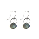 Labradorite Single Drop Earrings Silver Earrings E2255LAB-silver
